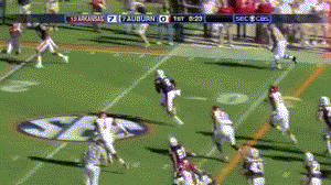 camhoparky.gif
