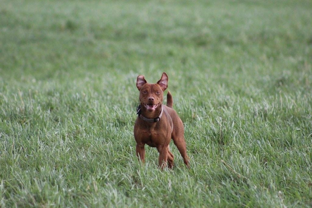 345041AD-052D-4B7D-9065-AE0CB004B457_zps