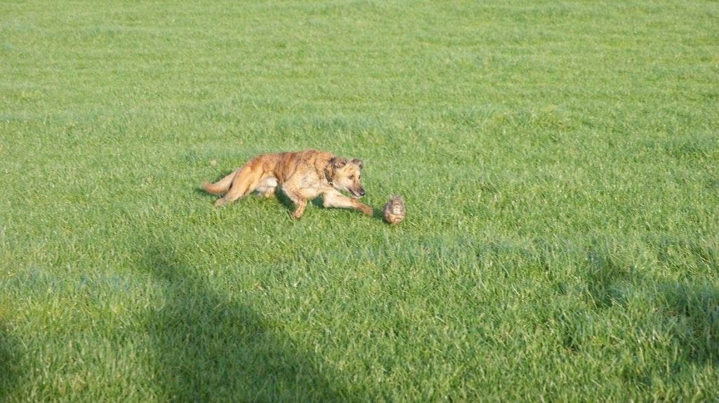 D5EA3E68-6A0C-4076-BC4A-07BB8D3165F0_zps