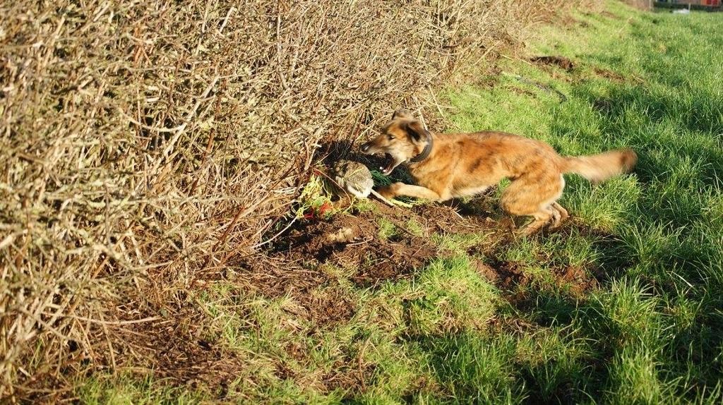 EB90A4EF-49B5-47CF-A4A6-A8CC310BD44E_zps