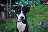 th_DSC_0017.jpg