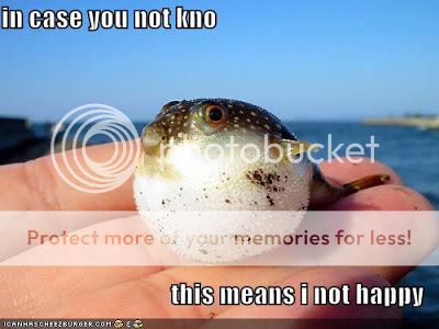 Stupid Puffer Fish... /vent - BabyCenter